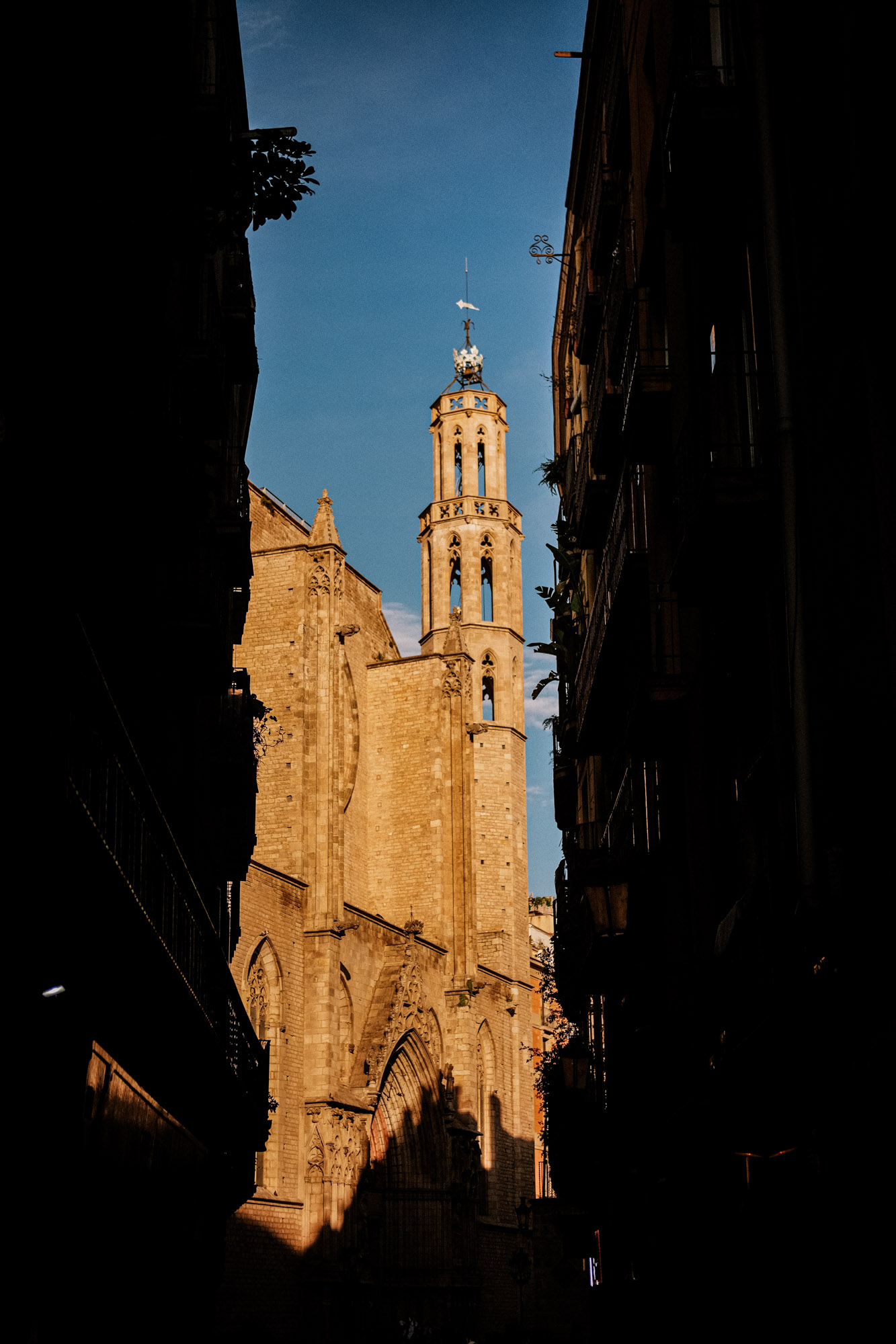 DSCF8303