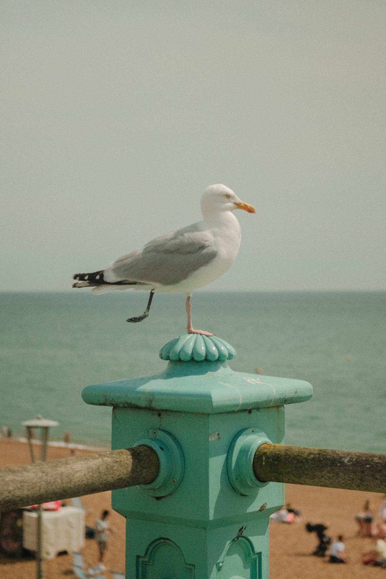DSCF9193-2